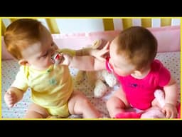 Best Collection Of Twins Baby Fighting Anytime || Peachy Vines
