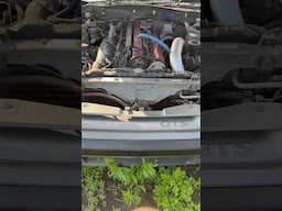 rb26/RB30 R31 SKYLINE 2Dr Nissan 1986