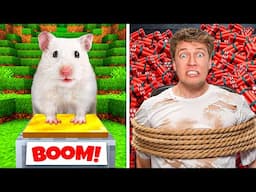 I Built Minecraft For A Real Hamster! 🐹