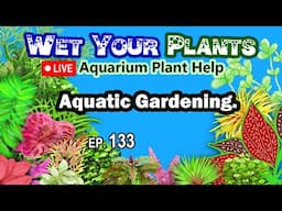 Aquatic Gardening Stream, Aquarium Plants, Pond Plants, Q&A, CO2 (WYP 133)