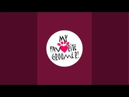 My Favorite Groomer is live! Calling pillow afterbiotic