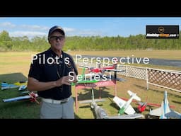 Michael Wargo:  New Pilot's Perspective Series For Hobbyking!
