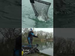New Challenge TONIGHT 7pm!  #fishing #carp