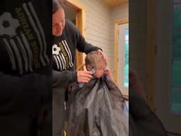 Homestead Haircut! #homestead #haircut #save