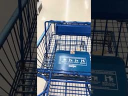 Never fails…I always get the loudest cart ever. #helpmemakethismakesense #groceryshopping #shopping