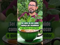 Essa planta nasce perto de você e pode controlar o açúcar do seu sangue
