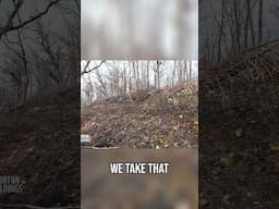 Prescribed Fire is KEY to Turkey Poult Habitat Success #shorts