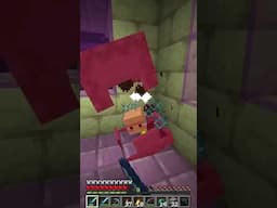 Day 143 of Minecraft Survival (1.21.5) - More Wings #shorts