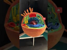 Animal cell model| 3d project #biology project #shortsfeed #nakulsahuart