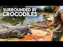 Ancient Egyptian Crocodile God Sobek: Close Encounter (Documentary Clip)