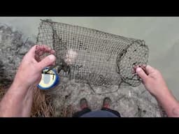 Catching Yabbies: Yabbying In A New Spot