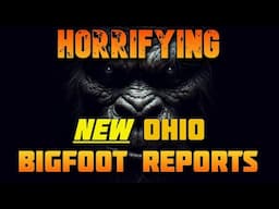 HORRIFYING NEW BIGFOOT REPORTS FROM OHIO