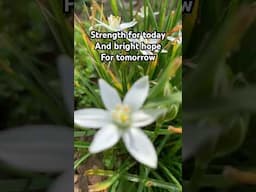 Strength for today and bright hope for tomorrow #greatisthyfaithfulness #christianhymns  #hymns