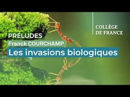 Les invasions biologiques - Franck Courchamp