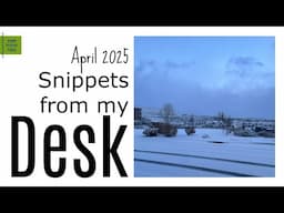 SFMD 70: Snow Storm, No More Ko-Fi Memberships, 9000 Subscribers