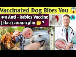 Dog Bite 😯 You || Fully Vaccinated Dog Bites You || Vaccination के बाद || डॉग काट ले तो क्या करे 🤔 ?