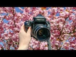 Relaxing Springtime Film Photography with the Pentax 67ii