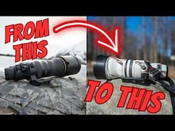 Setting Up Your Wildlife Lens for the Field