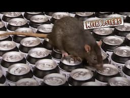 Are Soda Cans Contaminated With Deadly Rat Urine? | MythBusters