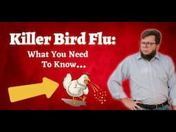 Killer Bird Flu: What You Need To Know About Avian Influenza