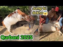 Alhamdulilah apni ghar ki Qurbani 2025😍| Bachiya ne chalang lagadi😯