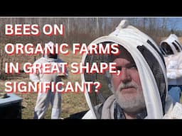 Bees on organic farms in great shape, significant?