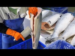 Taiwanese Salmon Processing Factory, Creamy Garlic Salmon Making /台灣鮭魚加工廠、白醬鮭魚 -Salmon Cutting Skill