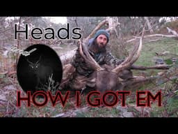 Heads an How I got Them.  "trail cam yabbie claw"