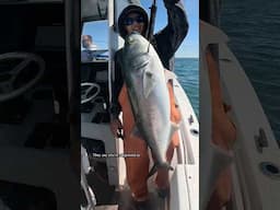 It was EVERY Cast #shorts #fishing