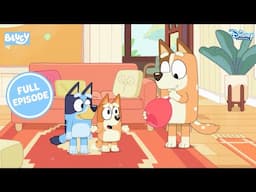 Hawa Hawai With Bluey | Bluey Full Episode | S1 EP 1 | @disneyindia