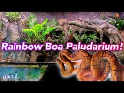 270 Gallon Boa Paludarium Build pt2 // Waterfall, Plants, Snake