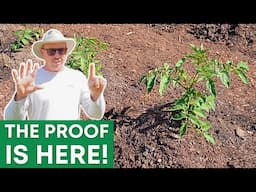 6 Random Garden Tips THAT WORK!