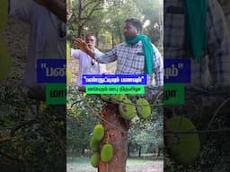 "பண்ருட்டியில் பலாவும்" மாபெரும் மரபு திருவிழா