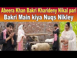 Abeera khan Bakri kharidney Aai|| Abeera Khan Funny Video||