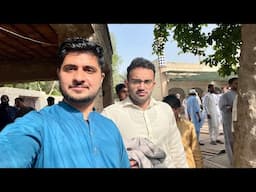 Eid Day 1 In Pakistan 🇵🇰 || Eid Ul Adha || Qurbani Alhamdulillah || Meet Distribution