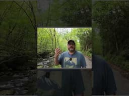 Real results with MAVEN Filters  #camerafilters #photography