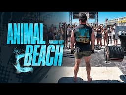 Animal Beach | Official Documentary