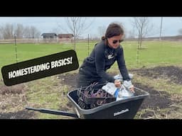 Planting Potatoes & What We Feed Our Animals | Homestead Basics