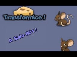 Verdadeira História Da Sala ''801'' - TRANSFORMICE (2016)