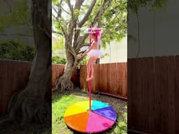 A little rainbow pie in my backyard 🌈 #beginnerpole #polecombo