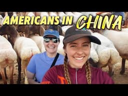 Buying a sheep at my fiancé's village bazaar! Life in rural Xinjiang 🐑 🇨🇳 我的美国闺蜜来新疆啦！一起为我的婚礼晚宴买一只羊！