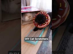 Easy Way to Make Cat Scratchers at Home (No Glue!)