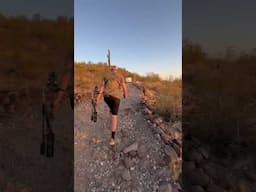 Lots of Cougars in Arizona 😱 #archery