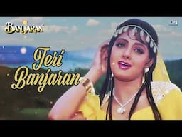 श्रीदेवी का सुपरहिट गाना | तेरी बंजारन | Teri Banjaran | Banjaran Movie | Full Audio | Alka Yagnik