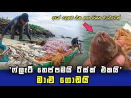 Amazing Way Of Fishing In Small Sailing Vessel | Sri Lankan Fishing | SL Fisherman