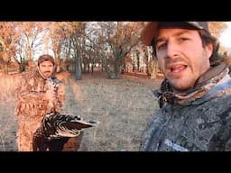 Caceria guajolote Goulds turkey Mexico hunting