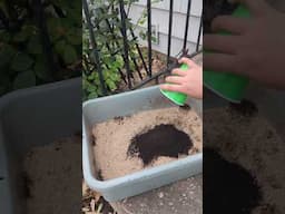 Grow better with worm poop #organicgardening #earthworm #soilhealth #compost