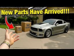 These Mods Just TRANSFORMED My 1xxxHp Mustang!!!