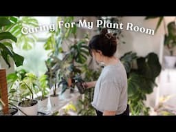 Spend a Planty Afternoon With Me Caring For My Plant Room 🌿