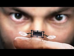¿Por Qué MIT Está Haciendo Insectos Robots?